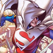 S-shield lucylane