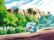 EP261 Phanpy confuso (2)