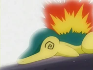 EP264 Cyndaquil debilitado
