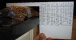 Thickness ruler.jpg