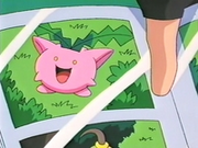 EP189 Foto de Hoppip
