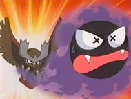 EP183 Noctowl golpeando a los Gastly