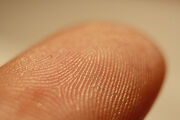 Fingerprints00a