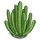 Organ Pipe Cactus-icon