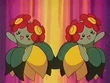 EP124 Bellossom (2)