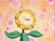 EP137 Sunflora (8)