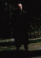 Yaxleymullan.jpg