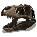 Fossils TRex-icon