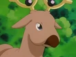 EP127 Stantler (6)