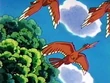 EP119 Fearow