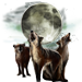 File:Item_wolfpackmoon_01.png