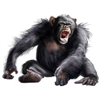 Huge item chimpanzee 01.png
