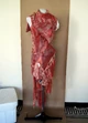 Meat Dress (Front)