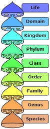 Biological classification