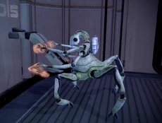Keeper at Zakera Ward Level 27 Dock