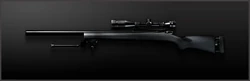 Main m24