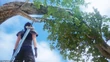 Banora white tree