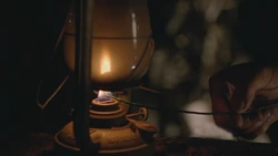 6x07-Alpertiboom.jpg