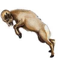 Huge Item bighorn 01