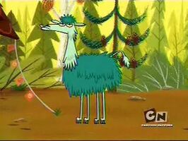 Spitty llama