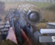 Scoped Mosin-Nagant WaWDS
