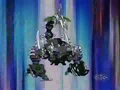 Dharak Colossus in ball form