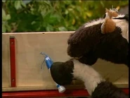 Folge2425-2