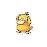 Psyduck NB.png