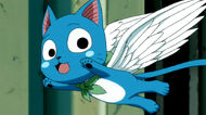 http://images3.wikia.nocookie.net/__cb20100920102735/fairytail/images/thumb/d/d9/Happy_with_wings.jpg/190px-Happy_with_wings.jpg