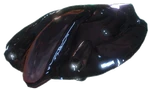 HaloReach - T31XMF