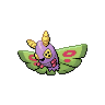 Dustox NB hembra