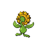 Sunflora espalda G5