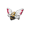 Ninjask espalda G5