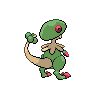 Breloom espalda G5