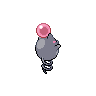 Spoink espalda G5