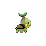 Turtwig