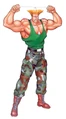 Guile-sf2-pose