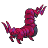 Scolipede espalda G5