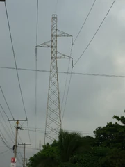 P1010477.jpg