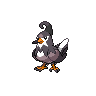 Staravia NB hembra