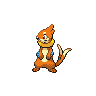 Buizel NB hembra