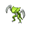 Kabutops NB variocolor