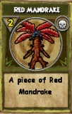 Red Mandrake