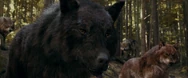 Eclipse 2 wolves