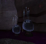 Ingsphere Cache