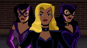 Birds of Prey (The Brave and the Bold)