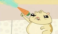 Cheecks carrot ray