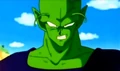 Piccolo22