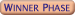 Winner bracket icon.png