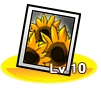 Devilish Sunflower.png